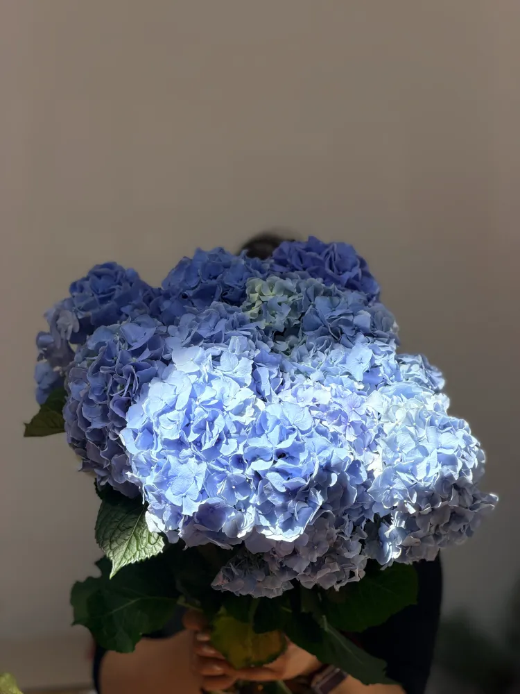 Flower Subscriptions: A Gift of Flowers Every Month – How It Works