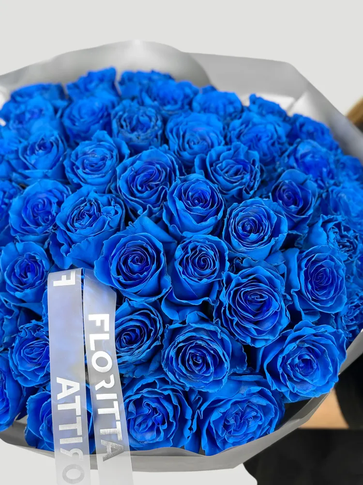 50 royal blue roses in elegant wrap