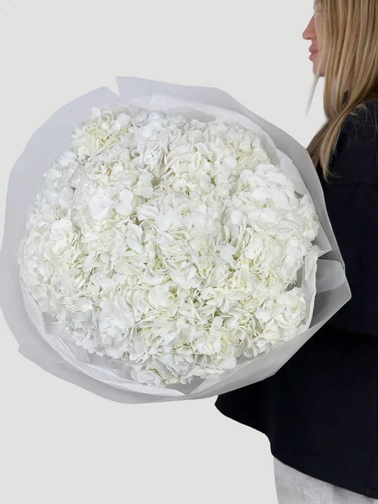 Ivory cloud (20 hydrangeas)