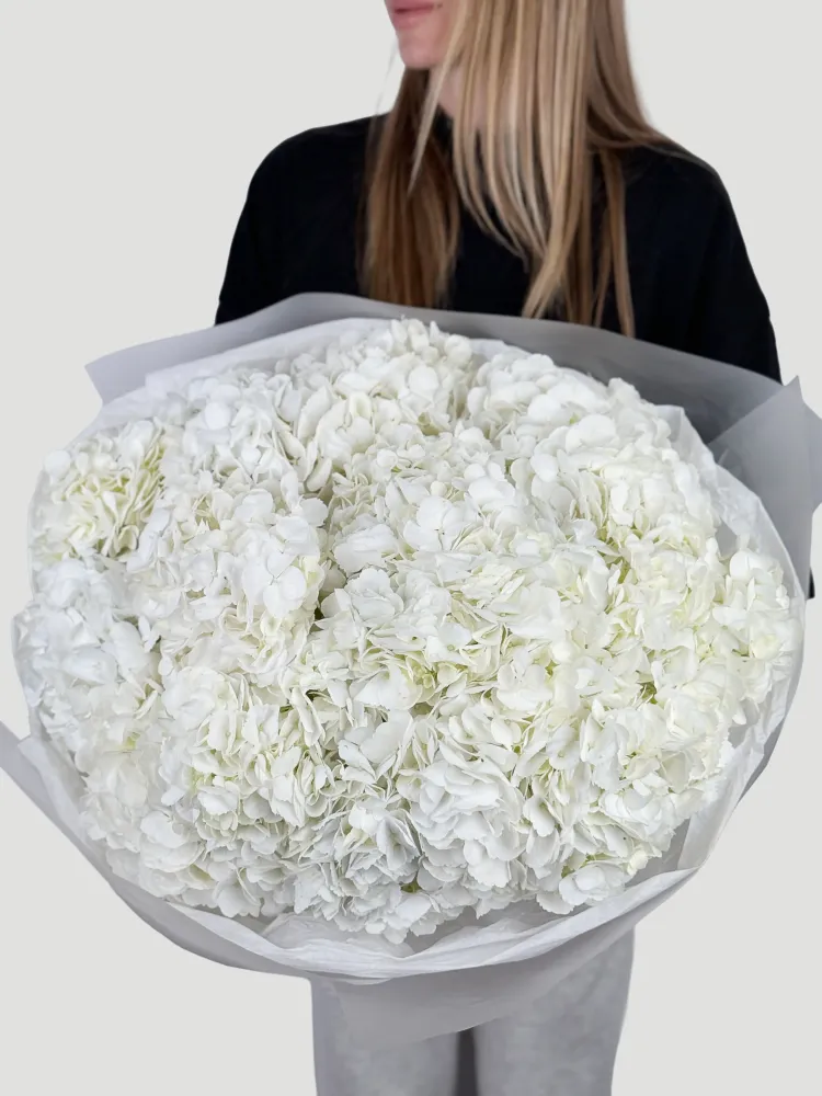 Ivory cloud (20 hydrangeas)