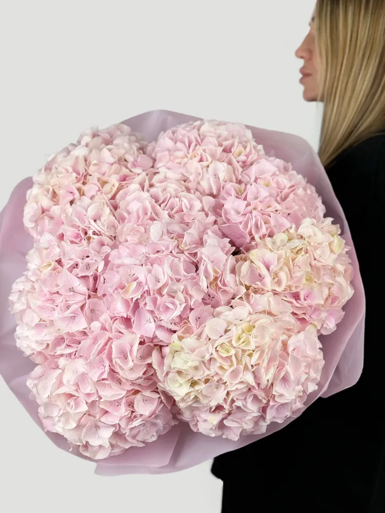 10 pink hydrangeas in pastel wrap
