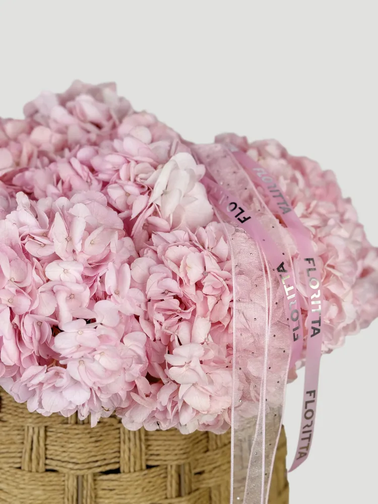 Basket of 20 pink hydrangeas with satin ribbons