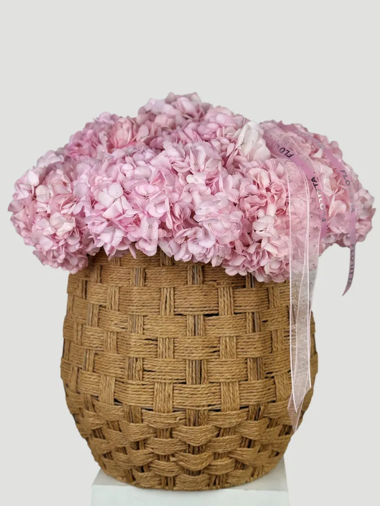 Basket of 20 pink hydrangeas with satin ribbons