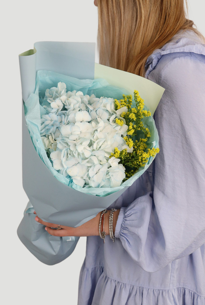 Sky harmony (hydrangea & solidago)