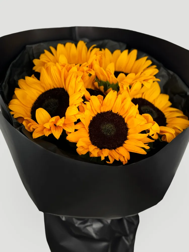 Golden noir (6 sunflowers)