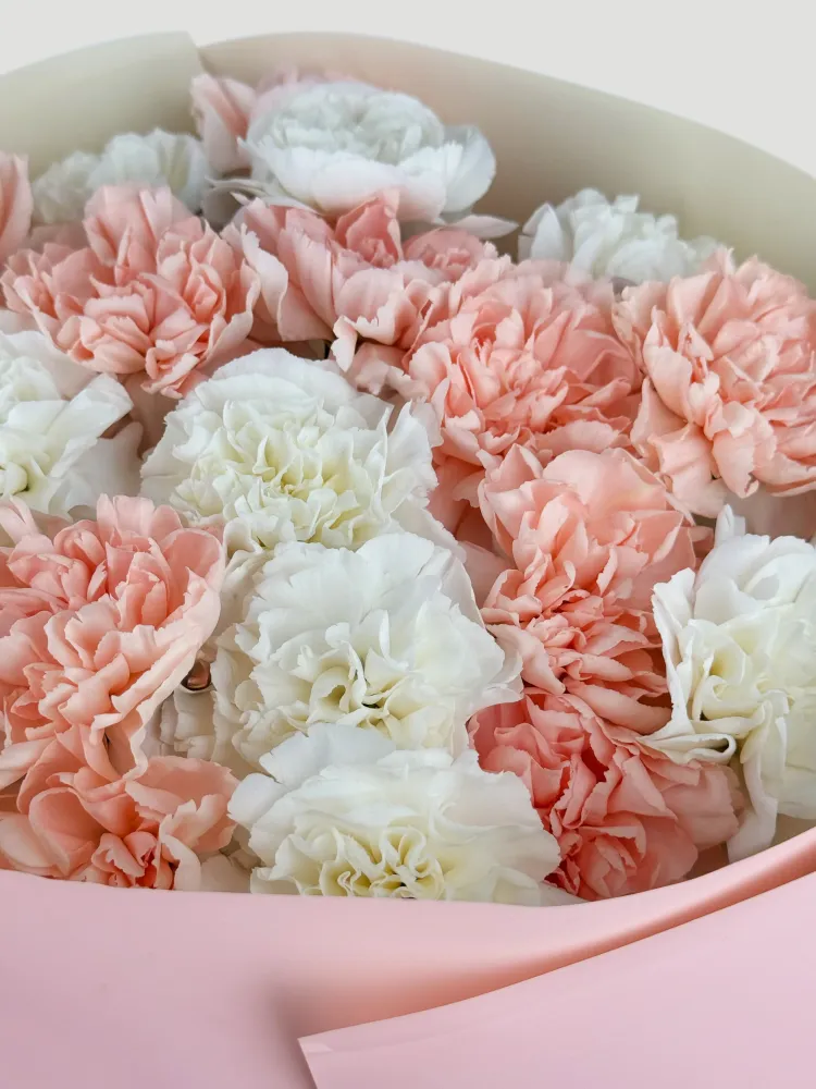 Blush & ivory carnation bouquet