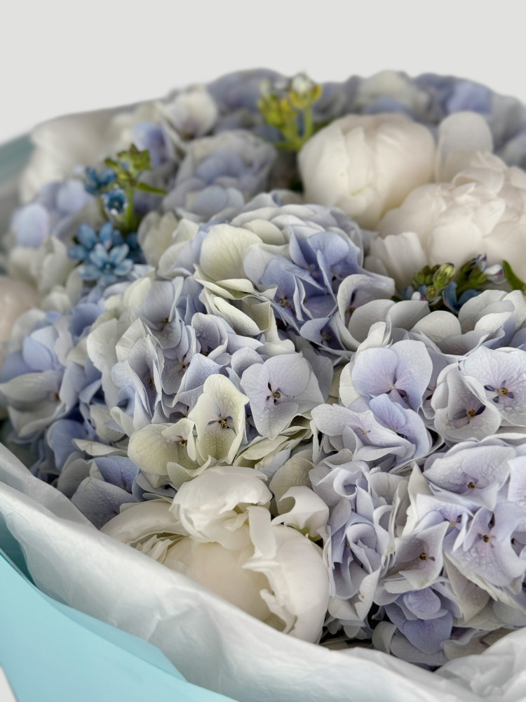 Petite white peony & hydrangea