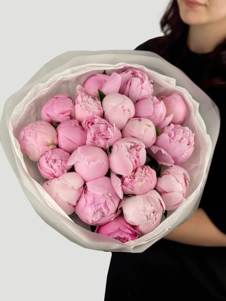 Blush peony dream (20 peonies)
