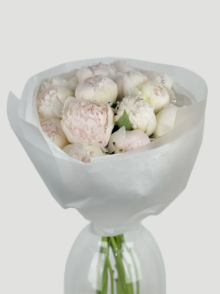 Ivory peony whisper (18 white peonies)