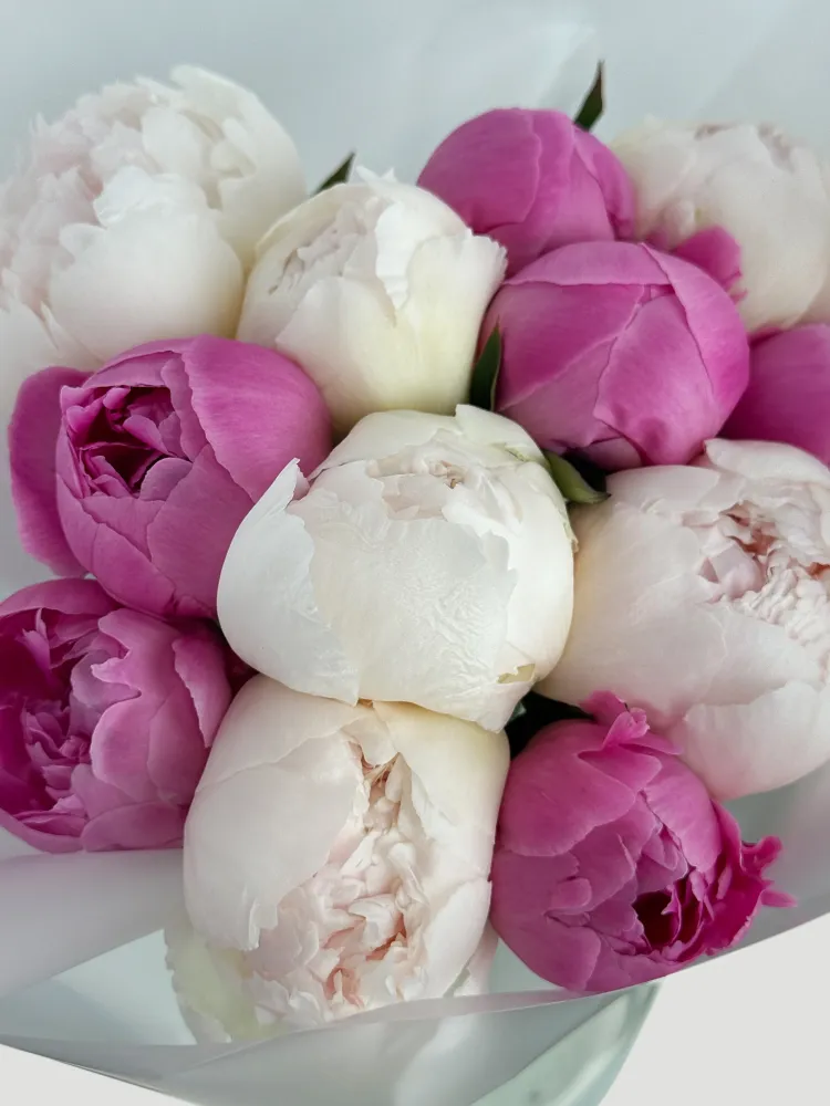 Pink & ivory peony charm (12 peonies)