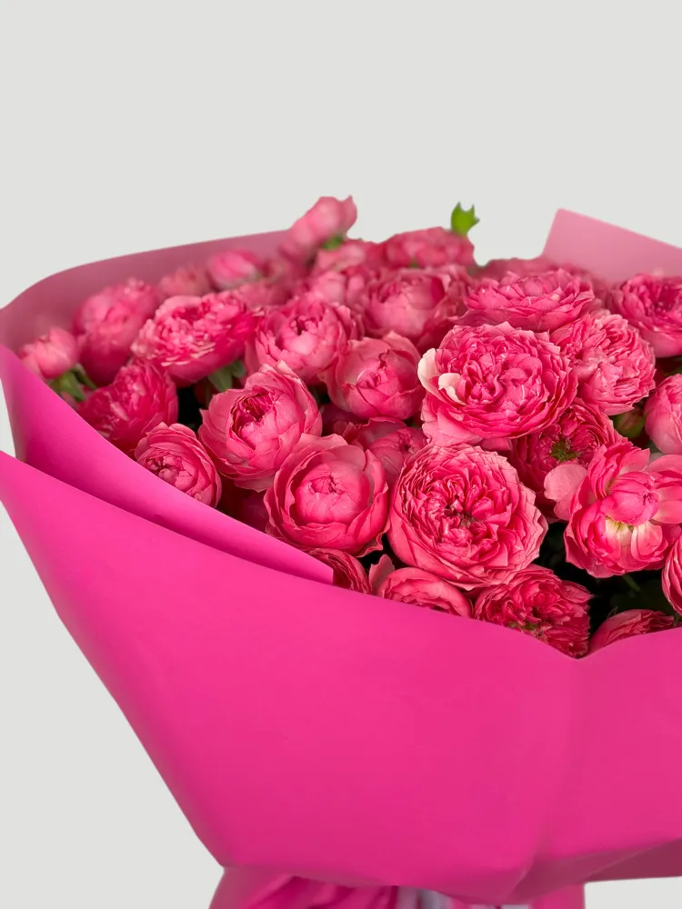 Spray rosé melody (25 stems)