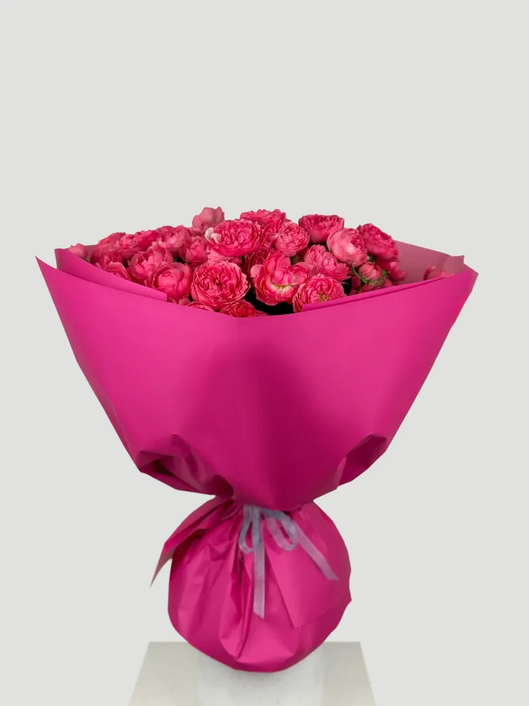 Spray rosé melody (25 stems)