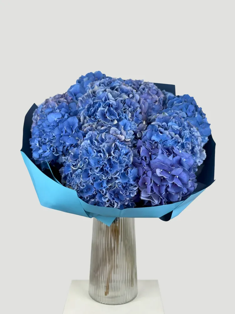 Blue velvet (10 hydrangeas)
