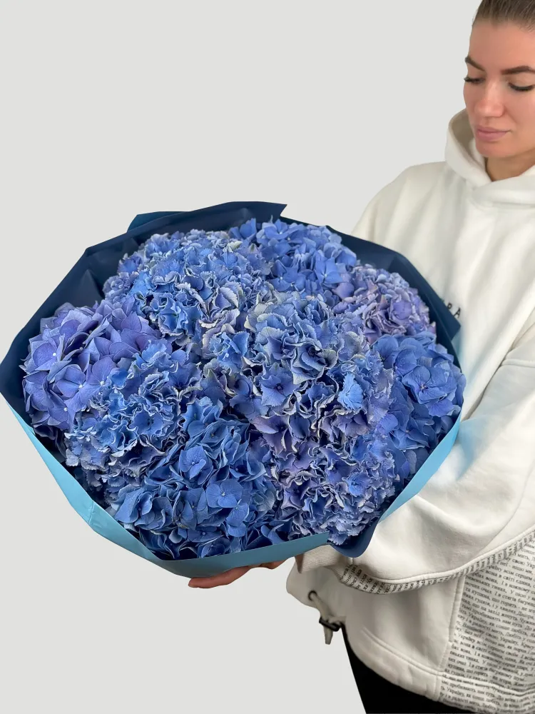 Blue velvet (10 hydrangeas)