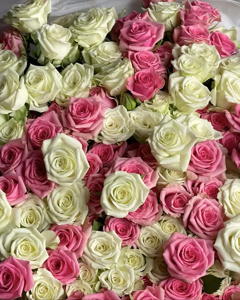Celestially bouquet of pink and white roses