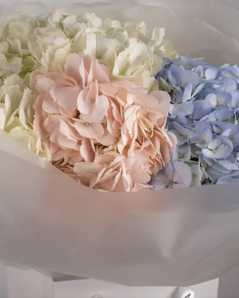 Trio of hydrangeas bouquet