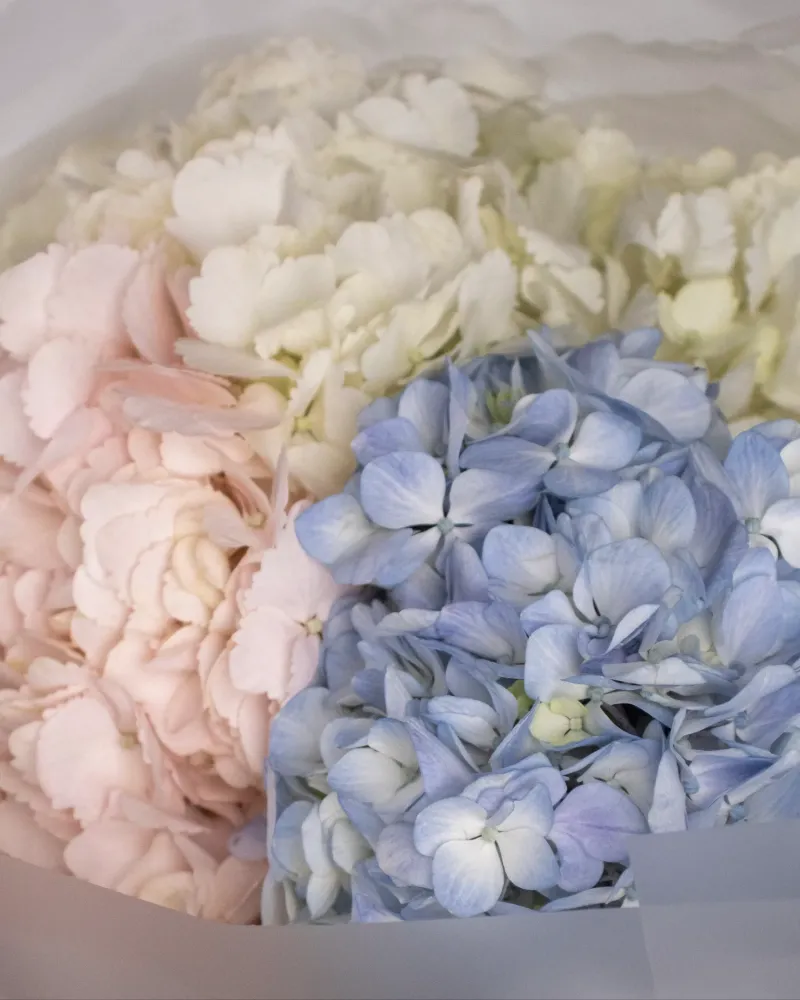 Trio of hydrangeas bouquet