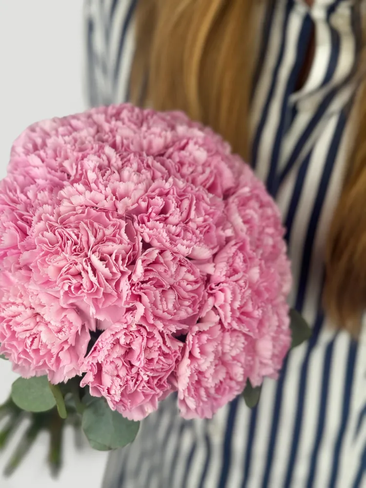 Pink carnations wedding bouquet