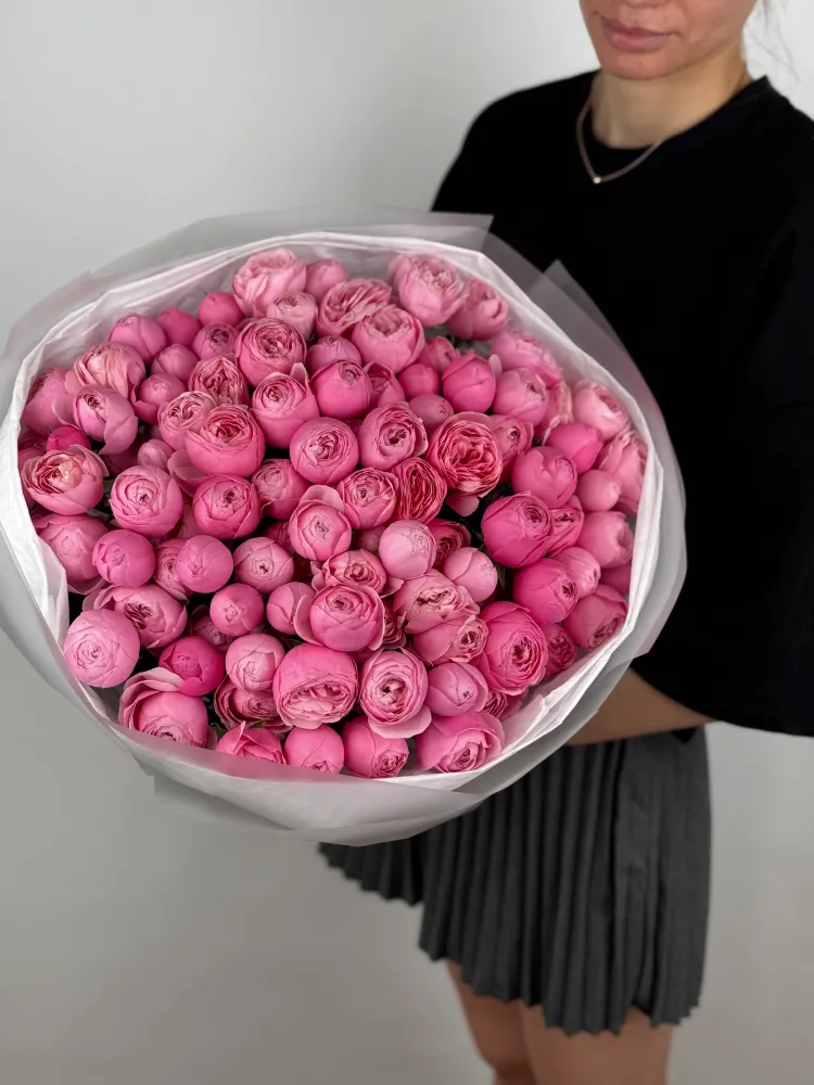 Pink garden elegance roses