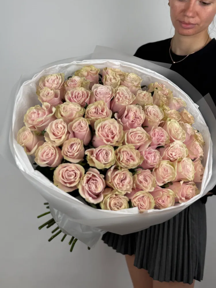 50 pink roses