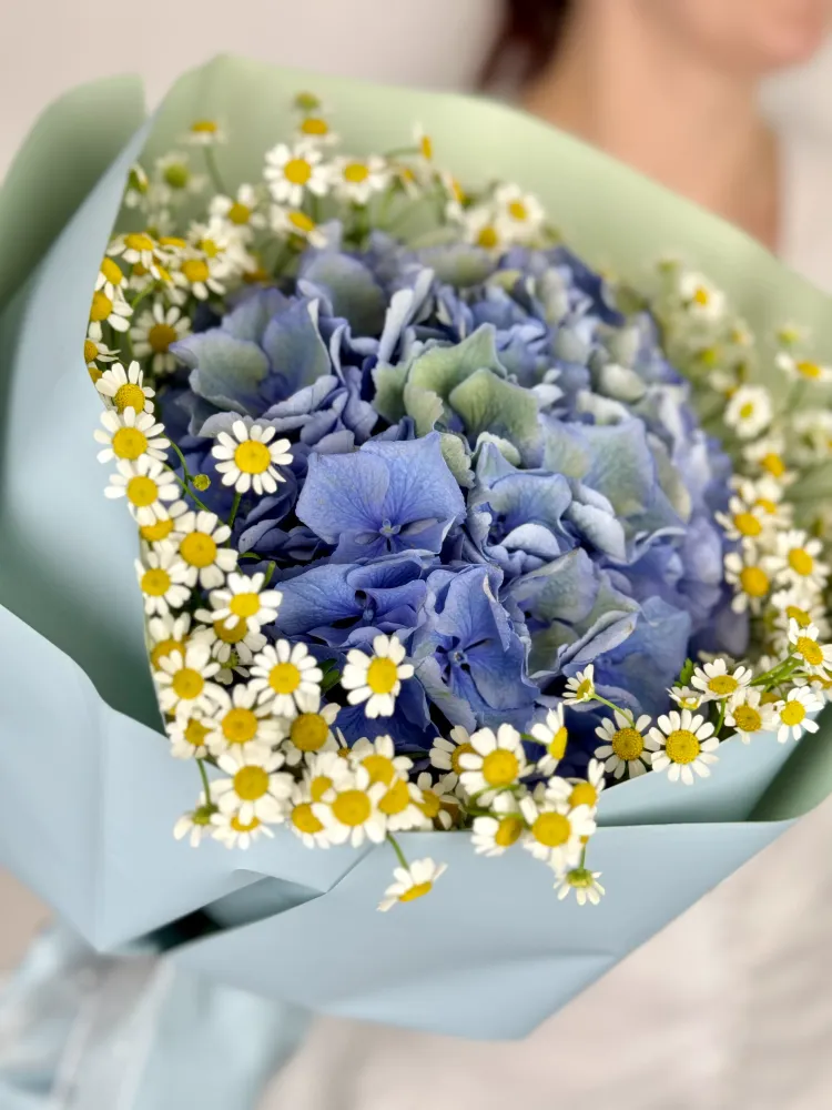 Sky & sunshine bouquet (daisies & hydrangea)
