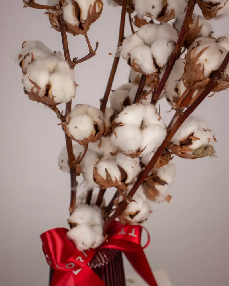 Elegant winter cotton bouquet