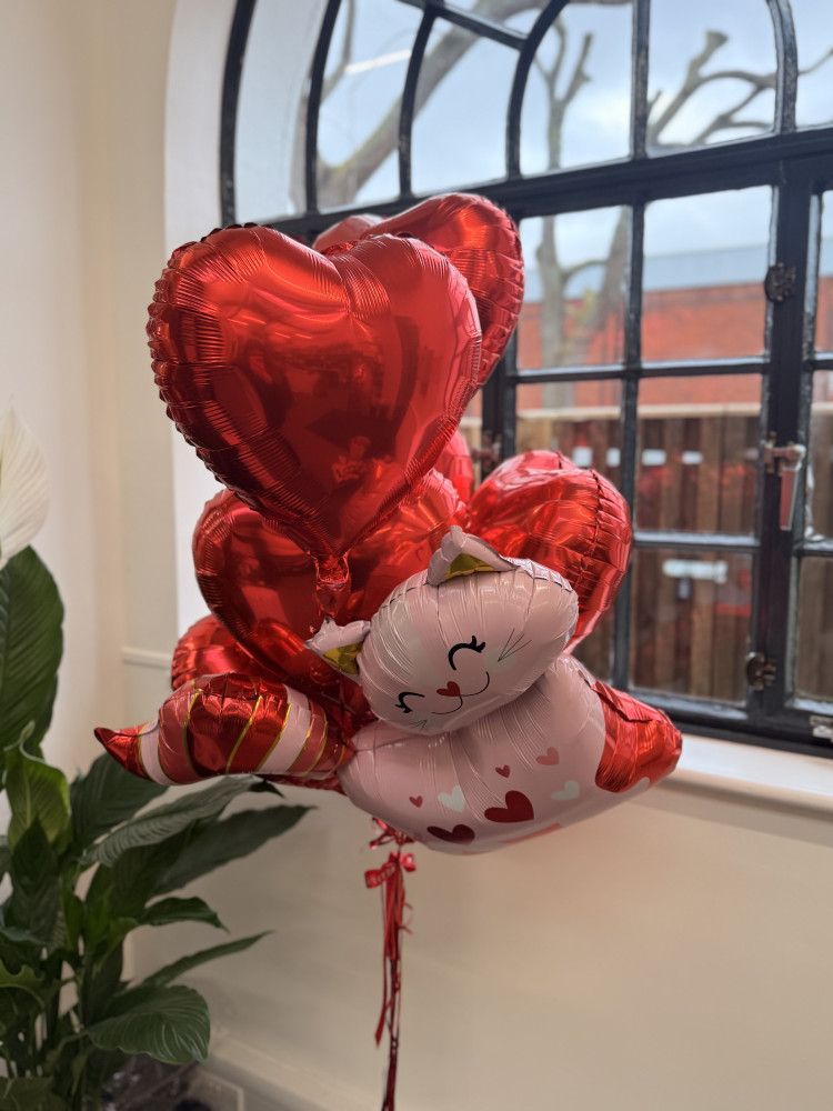 Kitten luxury love set (11 balloon helium inflated)