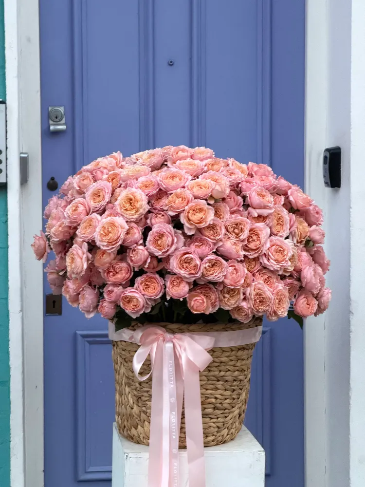 Roses en vogue (peony spray roses)