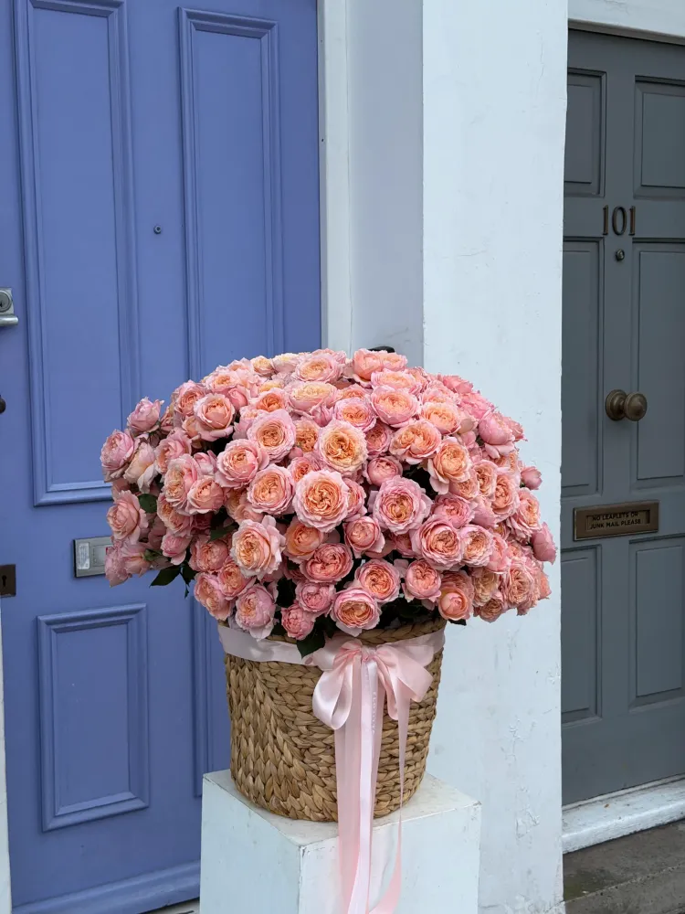 Roses en vogue (peony spray roses)