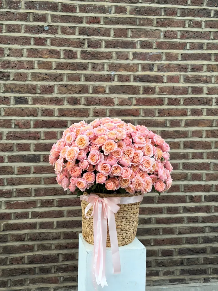 Roses en vogue (peony spray roses)