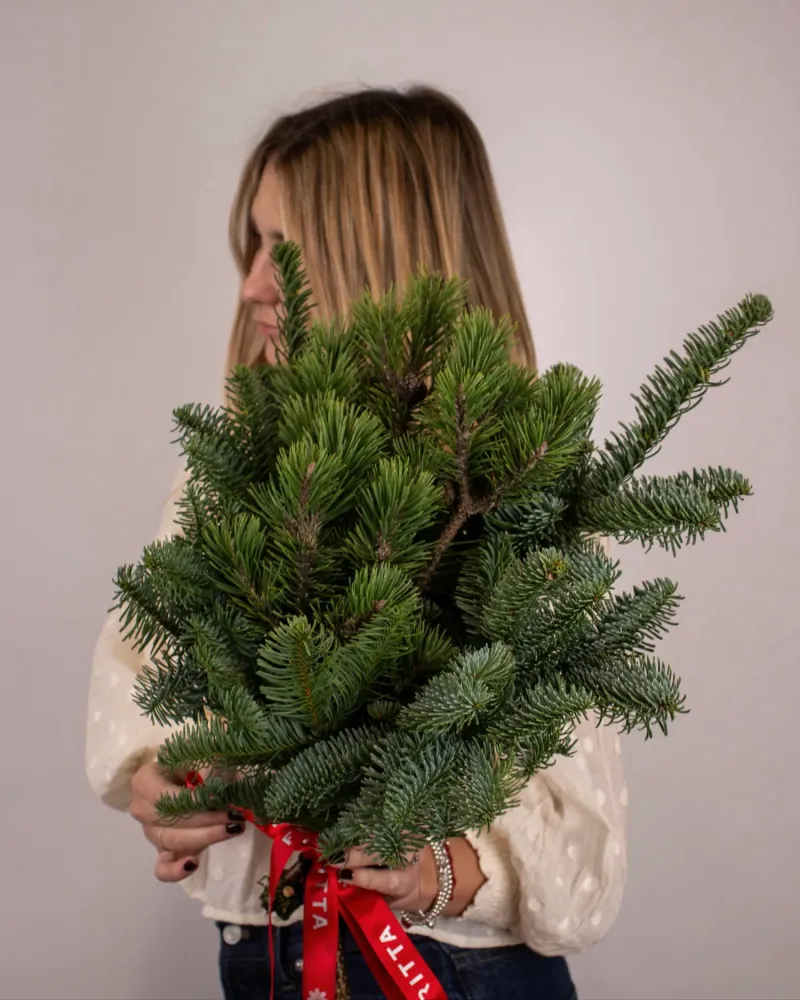 Classic evergreen Christmas bouquet