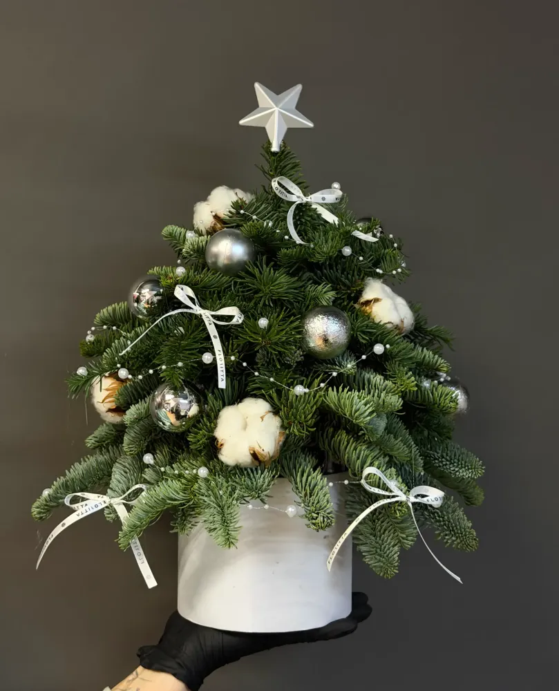 Crimson noël mini tree