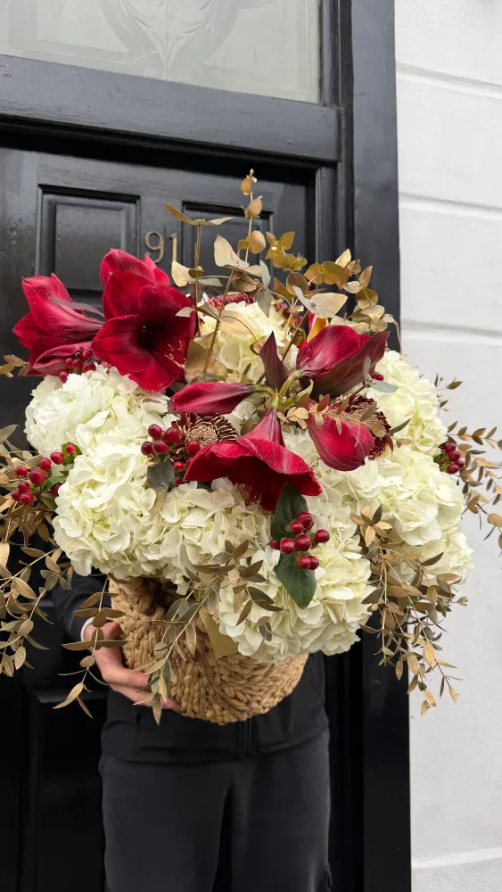 Ivory & amaryllis grace