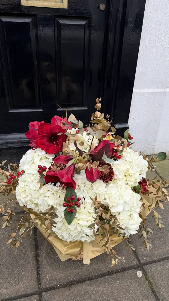 Ivory & amaryllis grace