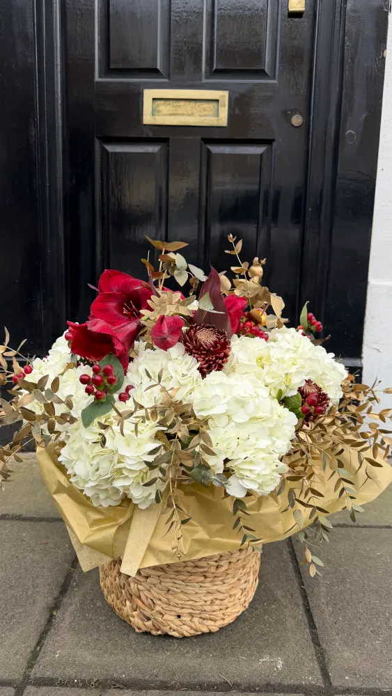 Ivory & amaryllis grace