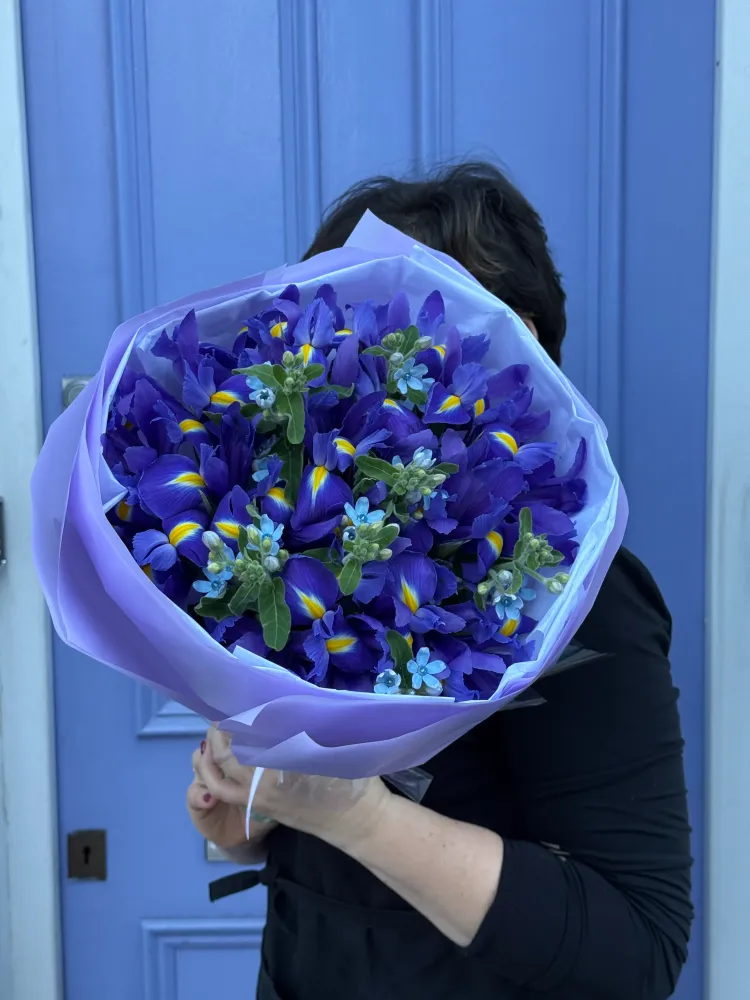 Bluebell elegance (30 stems)