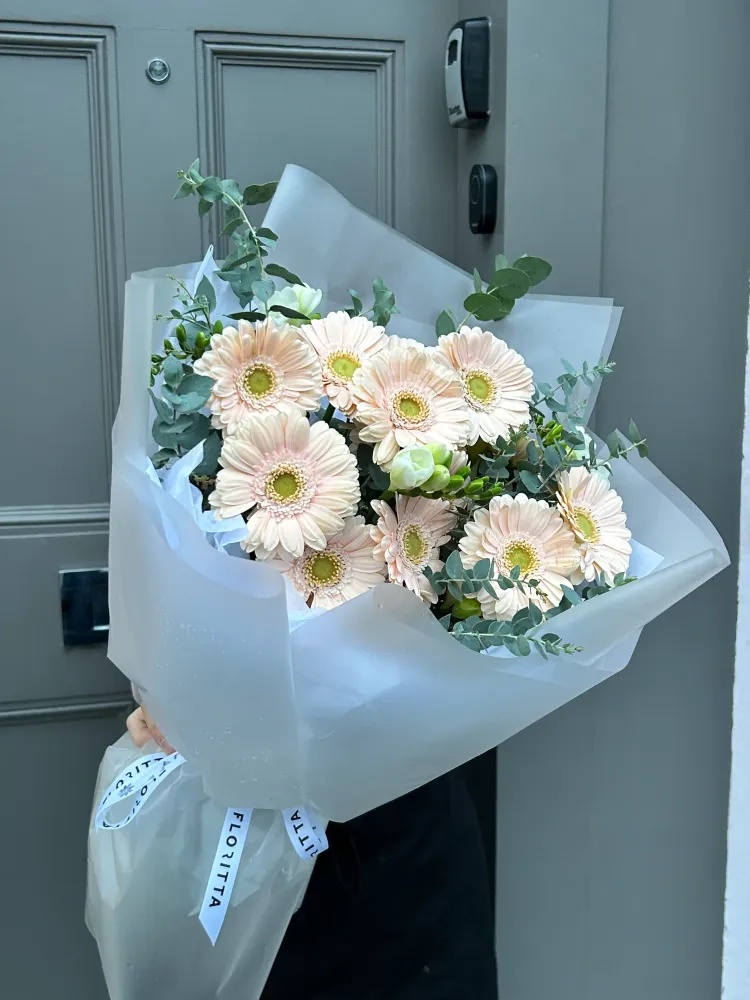 Gerberas cream charm (15 stems)