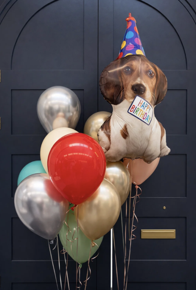 Puppy party wishes (11 balloons helium inflated)