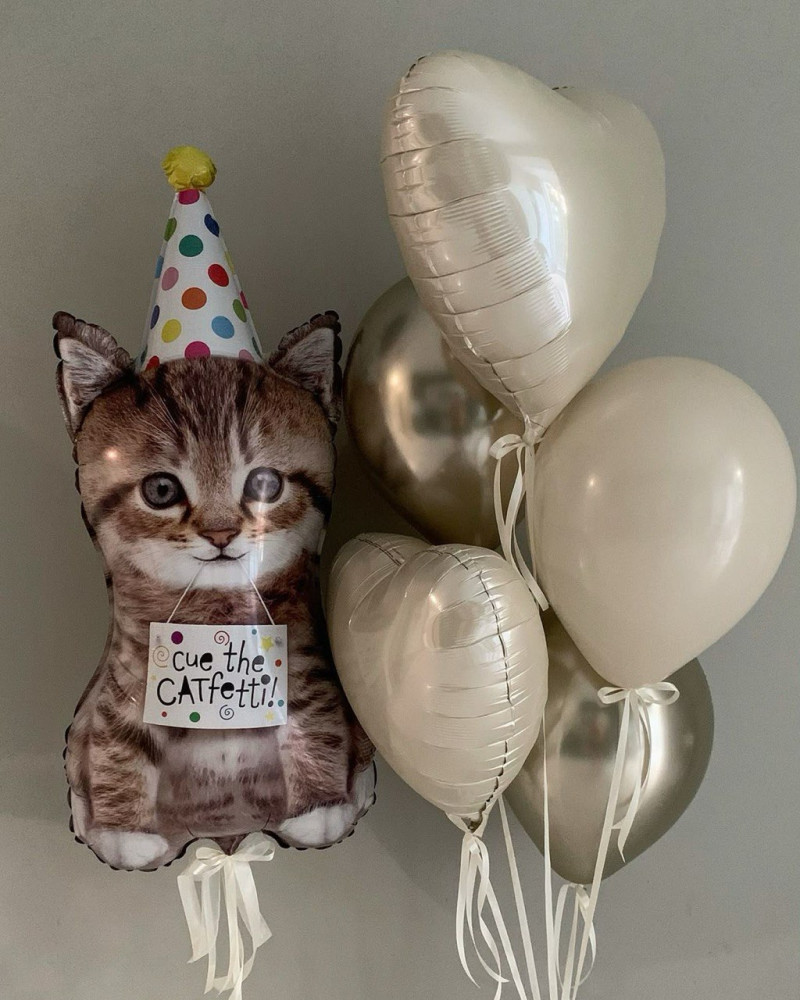 Cue the Catfetti (7 balloons helium inflated)