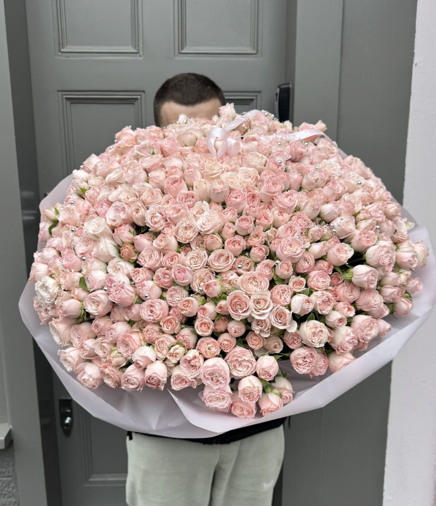 Albion rose grandeur (150 stems of spray roses)