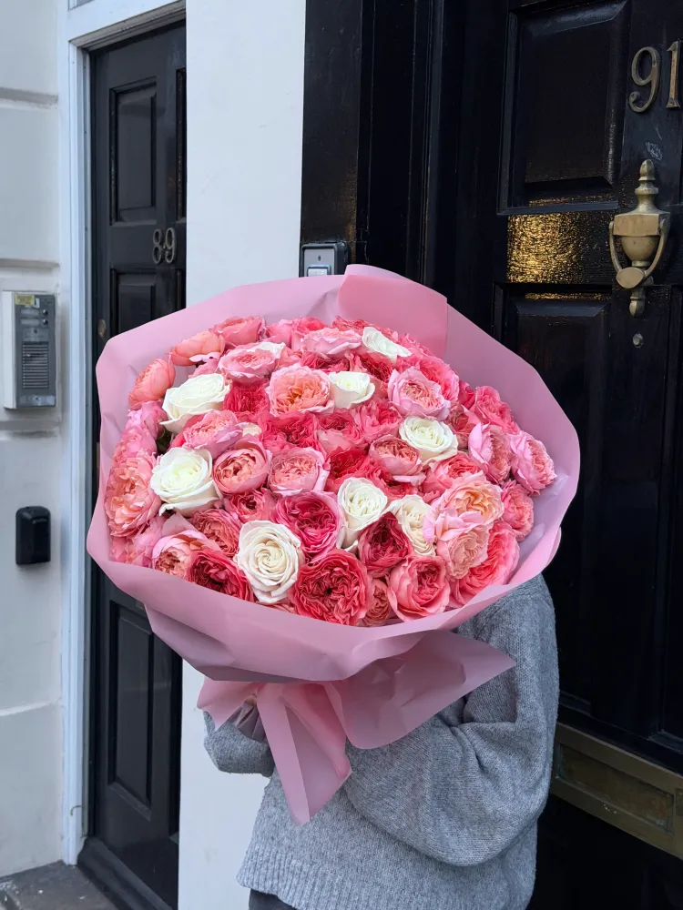 Rose society (roses & spray roses)