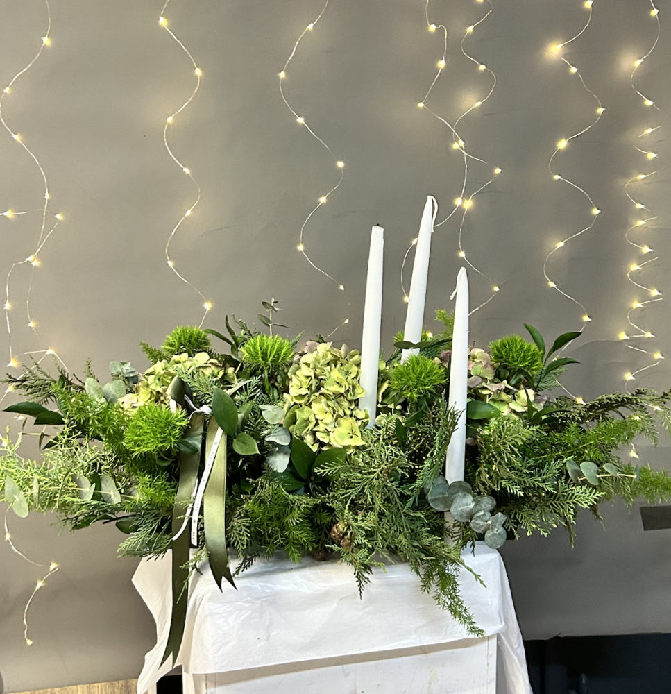 Seasonal evergreen serenity