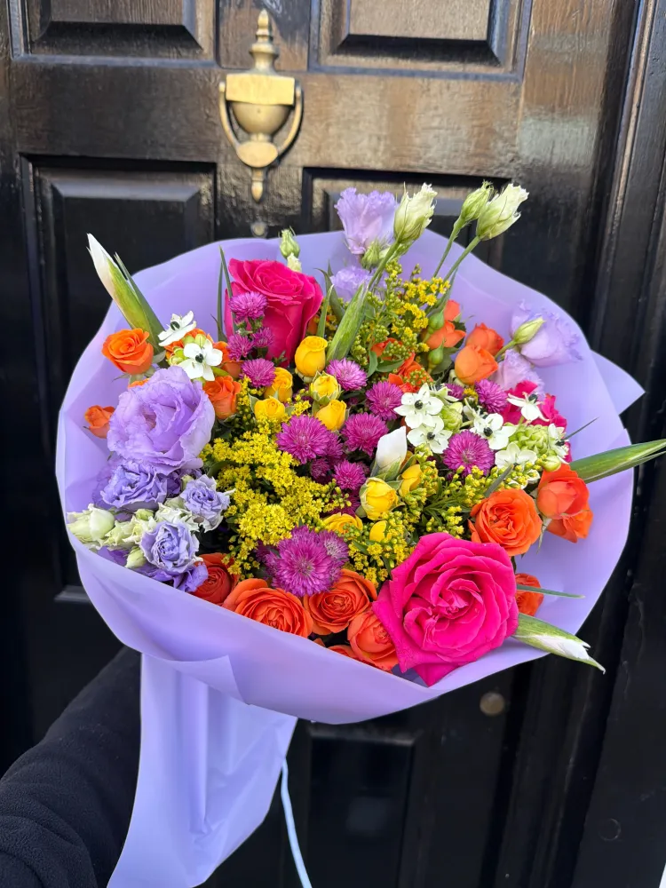Piccadilly bloom