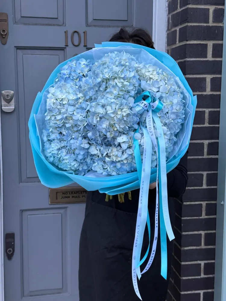 Blue reverie (10 hydrangeas)