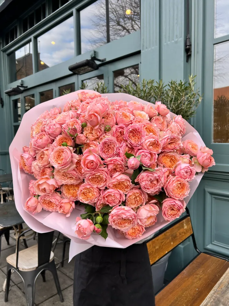 Soft power (50 peony spray roses)