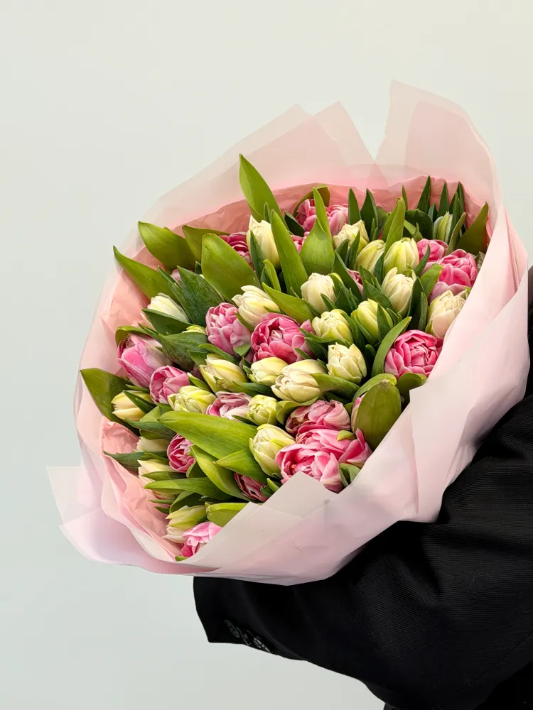 50 white and pink tulips