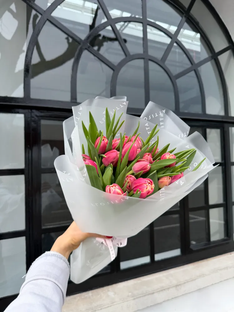 20 coral tulips