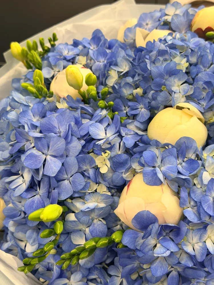 Sapphire Romance Bloom (hydrangeas, peonies & freesias)