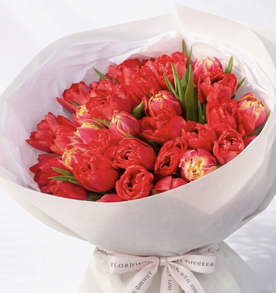 Scarlet romance tulips ( 40 red tulips )