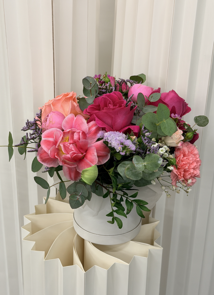 Coral garden box